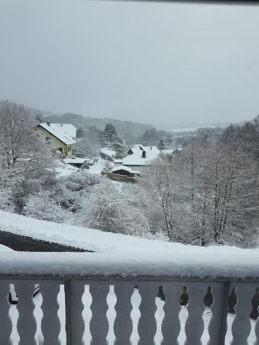 Holzhaus Chalet Nationalpark Eifel Hund Willkommen 黑伦塔尔 外观 照片