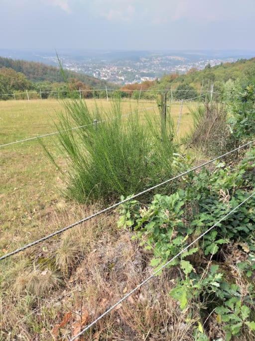 Holzhaus Chalet Nationalpark Eifel Hund Willkommen 黑伦塔尔 外观 照片