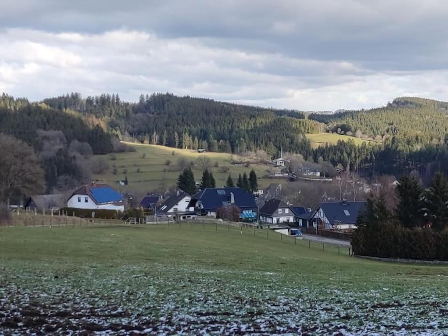 Holzhaus Chalet Nationalpark Eifel Hund Willkommen 黑伦塔尔 外观 照片