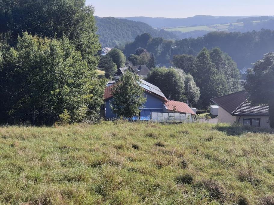 Holzhaus Chalet Nationalpark Eifel Hund Willkommen 黑伦塔尔 外观 照片