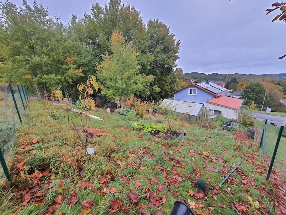 Holzhaus Chalet Nationalpark Eifel Hund Willkommen 黑伦塔尔 外观 照片