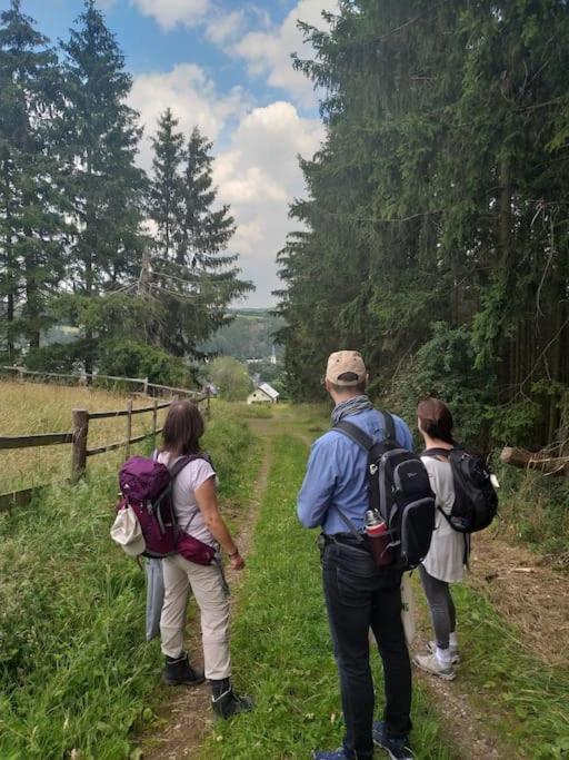Holzhaus Chalet Nationalpark Eifel Hund Willkommen 黑伦塔尔 外观 照片