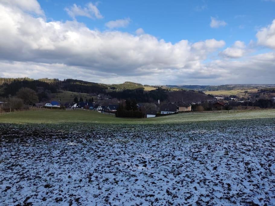 Holzhaus Chalet Nationalpark Eifel Hund Willkommen 黑伦塔尔 外观 照片